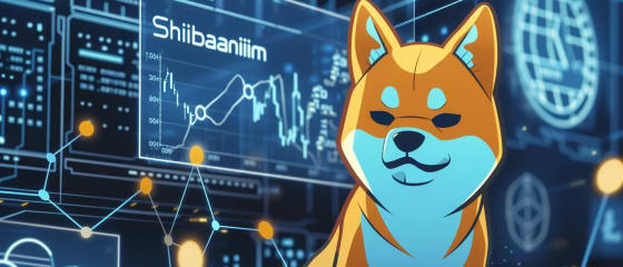 Surge in User Activity and Transfer Volume: Implications for Shiba Inu Ecosystem