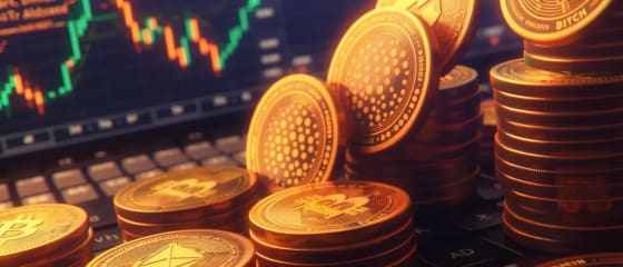 Market Update: BNB and ADA Show Positive Price Movements